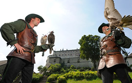 Ausflugsziele im Salzburger Land, Burg Hohenwerfen